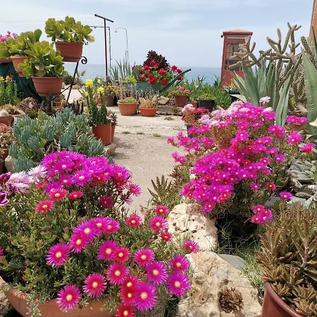 Anastasia Agia Marina (Northern Cyprus)