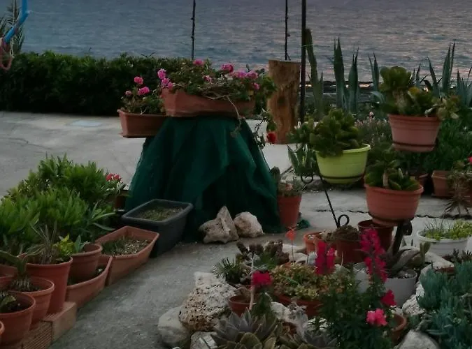 アパート Anastasia