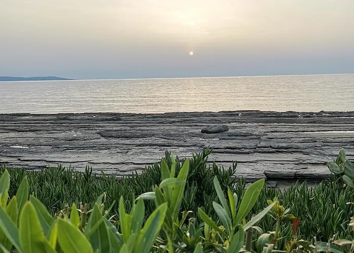 Anastasia アパート *