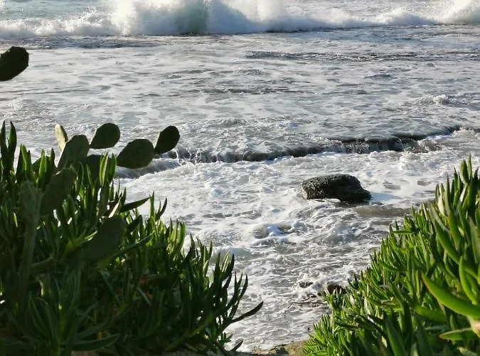 Anastasia アパート *