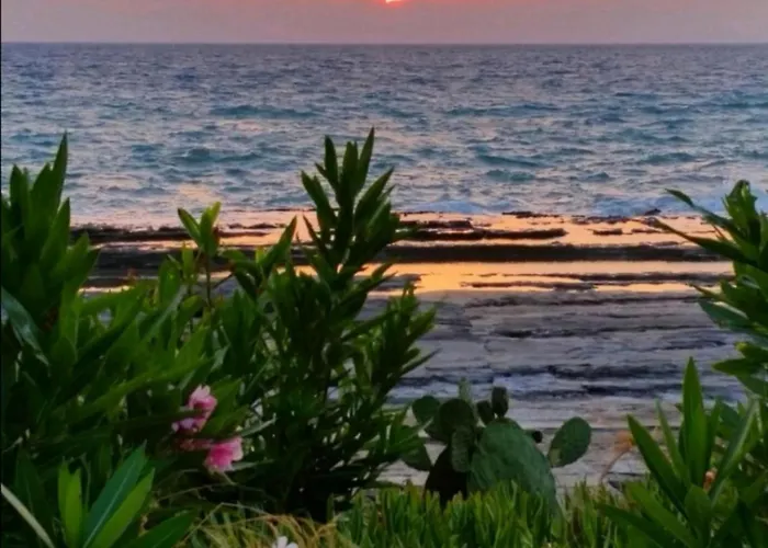 アパート Anastasia