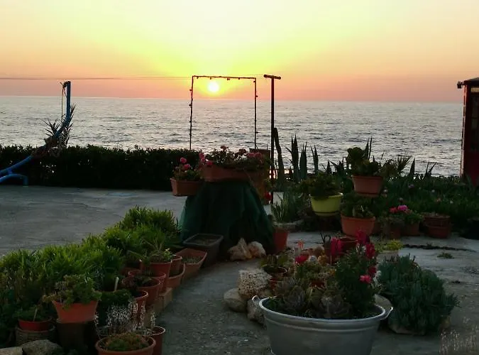 Anastasia アパート *