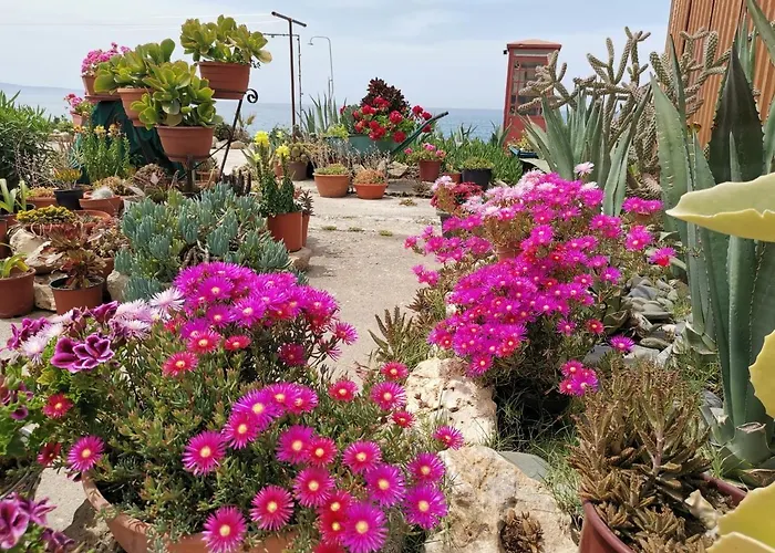 Anastasia Agia Marina (Northern Cyprus)